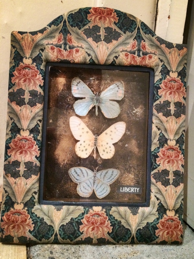 butterfly-specimen-box_39255678645_o